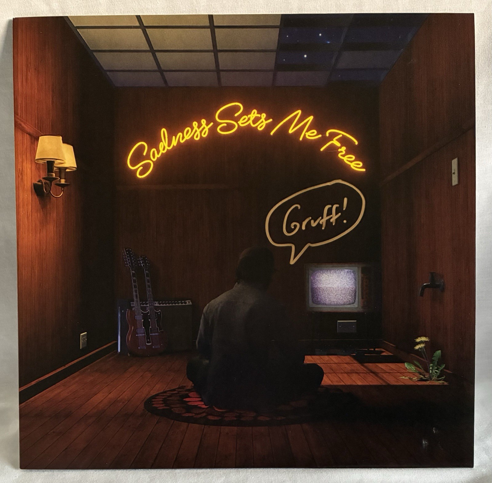 SIGNED & IN HAND!! Gruff Rhys Sadness Sets Me Free Vinyl LP•Brand New•Rare