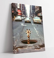 GIRAFFE PEAKING OUT OF MANHOLE CONTEMPORARY FRAMED CANVAS WALL ART PICTURE PRINT