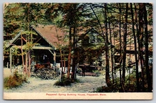 Pepperell Spring Bottling House Pepperell Massachusetts MA c1910 Postcard