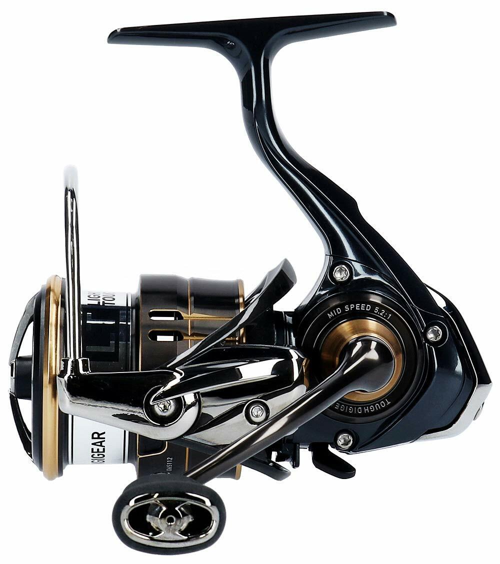 daiwa jdm ballistic fw lt