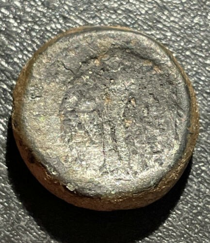 SAFE Tableau 6334 SP – Münzen-Tableau Für 30 Münzen Bis 32 Mm