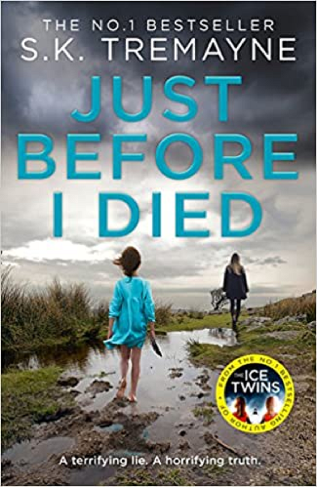 JUST BEFORE I DIED by S K TREMAYNE - PAPERBACK BOOK