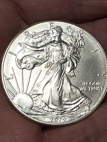 2014 American Eagle Silver - 1 Troy Oz .999 Fine Silver Coin - WOW