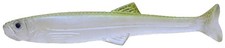 Fishing Lure IMAKATSU Huddle Swimmer Elastomer 4 Inch Eco-friendly Product S-20