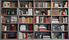 8x6ft Bookshelf Backdrop Wooden Bookcase Library Photography Multicolor