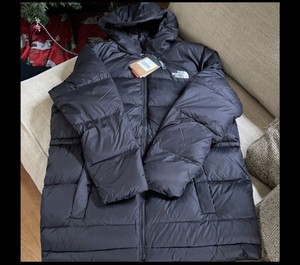 ebay north face parka