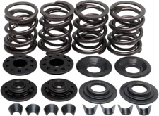 Kibblewhite Complete Valve Spring Kit .480in. Lift 20-2210