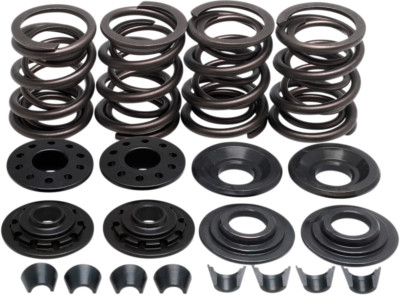 Kibblewhite Complete Valve Spring Kit .480in. Lift 20-2210
