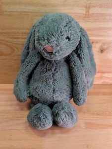 Rare Jellycat Bunny | eBay