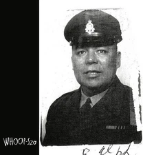 WARRIOR DOWN [11/8] NEW VINYL