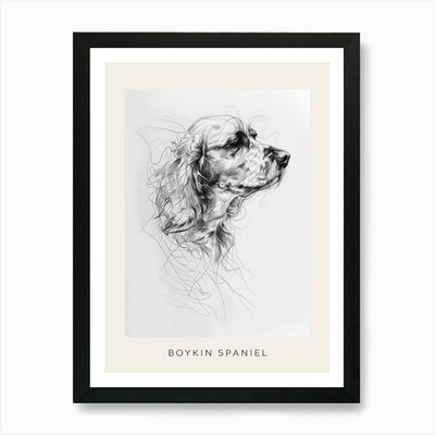 Boykin Spaniel Dog Line Art 2 Poste Framed Wall Art Poster Canvas Print Picture