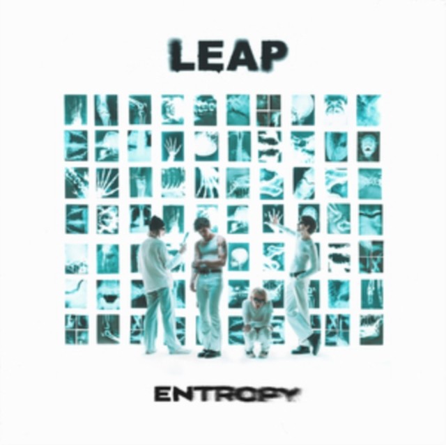 Leap Entropy - Image 6