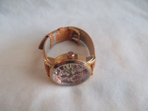 Akribos XXIV AK431RG-A Automatic Wristwatch Steampunk Self Winding Leather Band