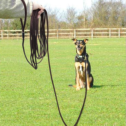 Laisse Longue pour Chien et Cheval d'entraînement de Longe Nylon 3M/5M/10M/20M - Picture 11 of 14