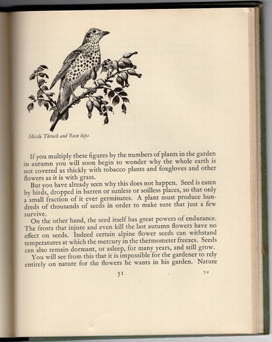 Seasons & the Gardener. A book for children. H E Bates C F Tunnicliffe ills 1st - Picture 4 of 4