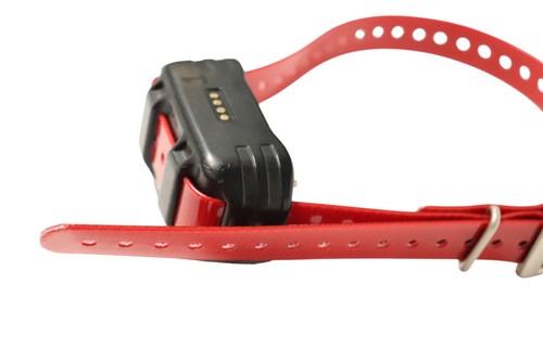 Garmin PT6 Collar - Very Good Condition w/ Short Contact Points - Red Strap - Picture 5 of 10