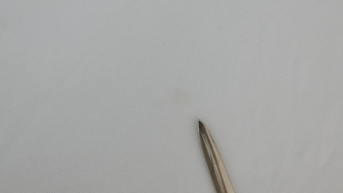 England Rugby T Shirt Kids Unisex White Red Rose Slogan Print age 13 Yrs 158 cm - Picture 23 of 23