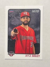 JAYCE EASLEY 2024 Hickory Crawdads Series 1 Card MILB