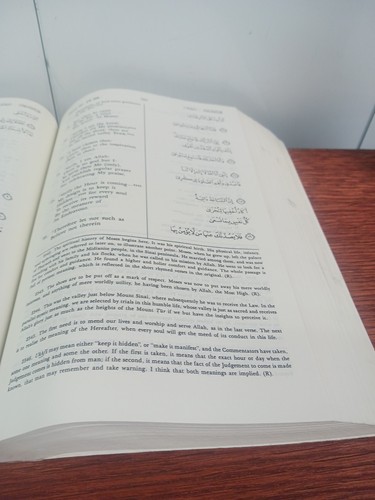 Die Bedeutung des Heiligen Korans von Abdullah Yusuf Ali grünes Leder - Bild 18 von 24