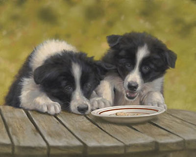 John Silver The Last Biscuit Collie Puppies Mounted Print Ltd
