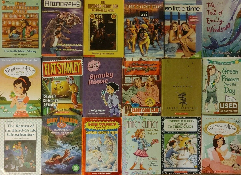 RANDOM Lot of 10 3rd Grade Chapter Books ACCELERATED READER Level 3 Unsorted Mix Foto 4 de 4