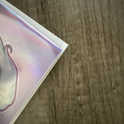 Cuaderno de bocetos mezcla gato negro Warren Louw lámina nycc limitado a 100 casi nuevo - Imagen 5 de 6