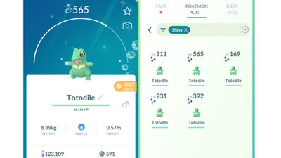  Shiny Totodile (Schillernd Karnimani) Community Day Pokemon GO  Mini PTC