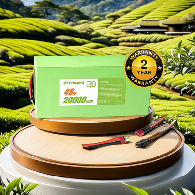 H HAILONG 48V lithium Battery BMS