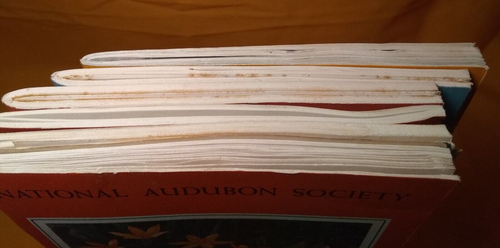 National Audubon Society Nature Program, 3 box sets, total of 15 booklets - Picture 8 of 23