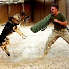 Medium Large Dog Bite Sleeve Heavy Duty Pet Dog Training Intermediate Protection