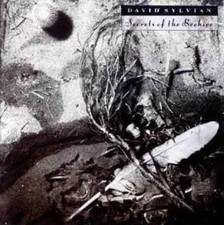 CD++DAVID SYLVIAN - SECRETS OF THE BEEHIVE++1...