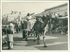 Pakistan, Karachi, Camel Cart in Bunder Vintage silver print.  Silver Print