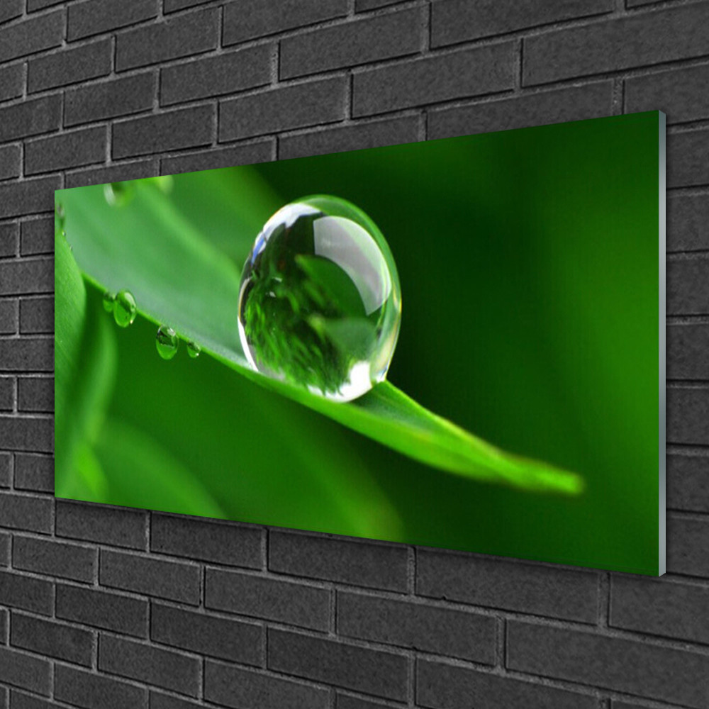 Tableau sur Plexiglas® image impression 100x50 floral feuille goutte d'eau