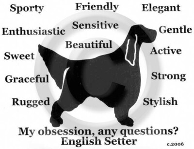 English Setter Dog My Obsession, Any Questions? T-shirt Choices