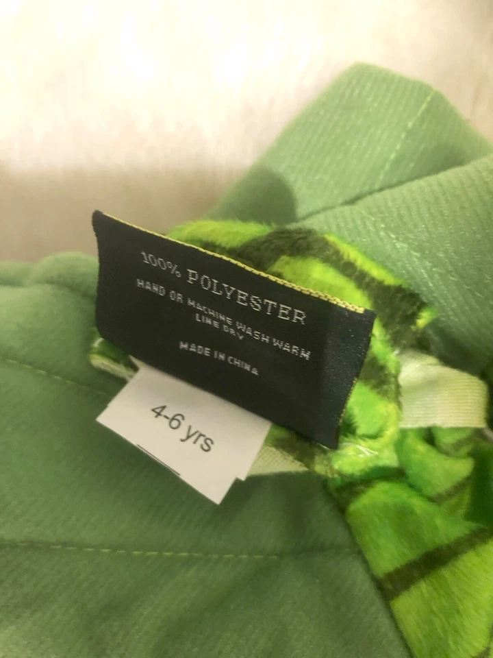 Disfraz de Dragón Dinosaurio Niño Alado Verde Edades 4-6 años Halloween Vestir  Foto 3 de 3