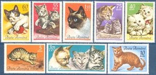 Romania 1965 Cats,Pets,Tabby,Persian,Siamese,Domestic Animals,MNH