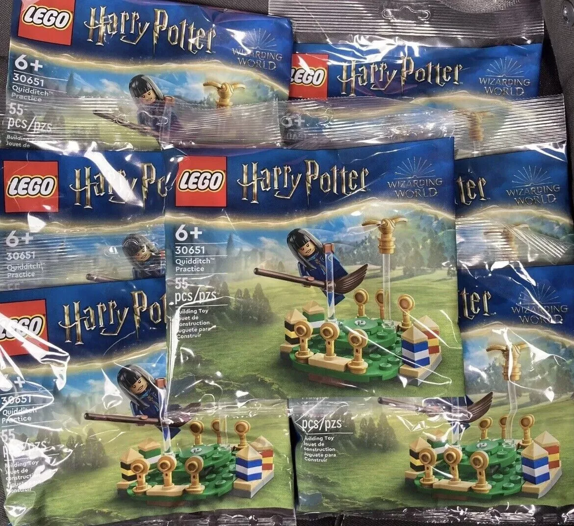 LEGO Harry Potter Quidditch Practice 30651 Building Toy