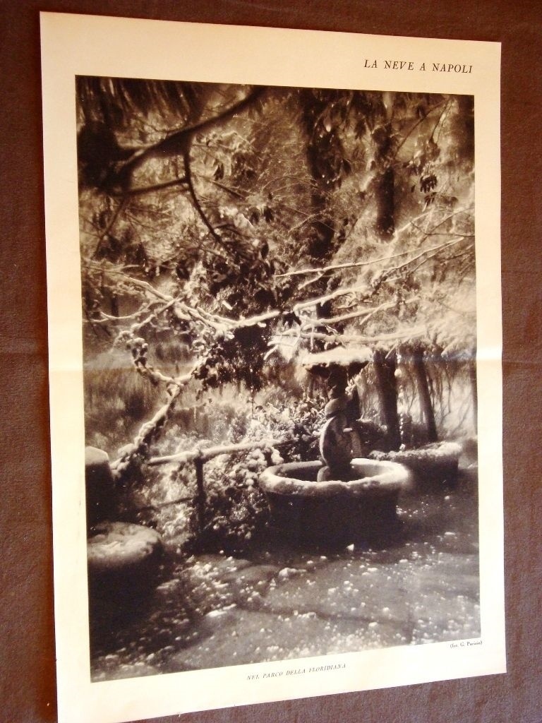 Picture 1 of 1