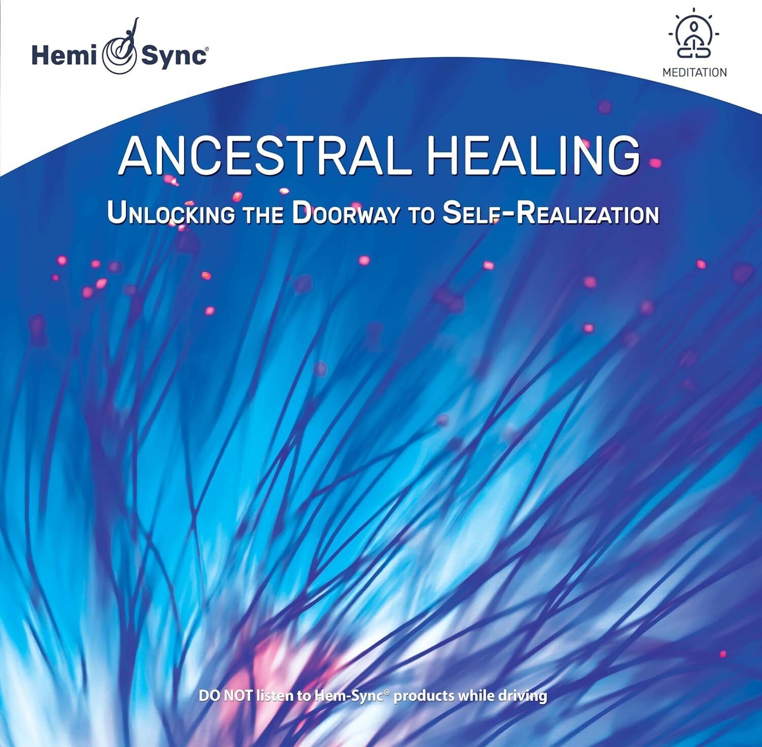 Dr. Lotte Valent Ancestral Healing: Unlocking the Doorway to Self-realizati (CD)