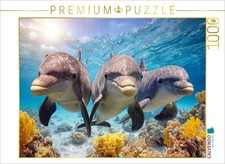 CALVENDO Puzzle Die Unterwasserwelt genie en  1000 Teile Lege-Gr  e 64x48cm Fot