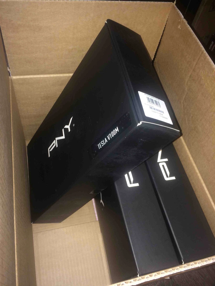 Pny tesla v100 sale