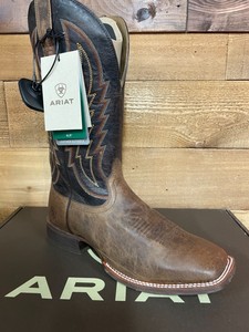 ariat circuit stride
