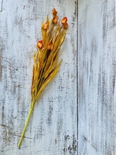 Fall Grasses And Pods Bouquet 