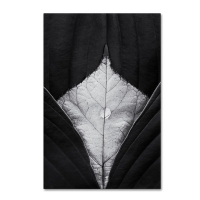 1X00732-C2232GG Canvas Art, 22x32