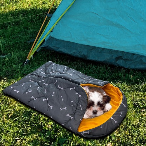 dog sleeping in tent