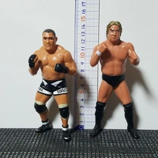 Charapro Pro Wrestling Figure Fujita Vs Takayama