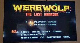 Werewolf : The Last Warrior (Nintendo, 1990) NES - Tested and Working