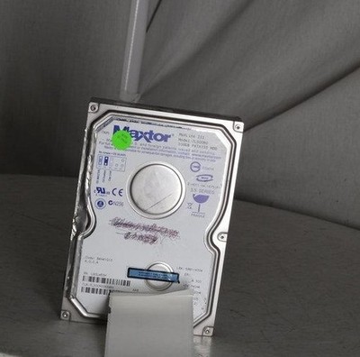 Maxtor MaxLine III PATA133 7L300R0 3.5'' Hard Drive 300GB IDE