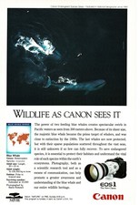 1992 CANON EOS1 35mm camera Blue Whales Vintage Print Ad
