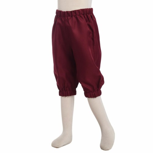 Medieval Kids Outfit Suit Coat Pants Shorts Breeches Vest Steampunk Costume - Picture 10 of 24